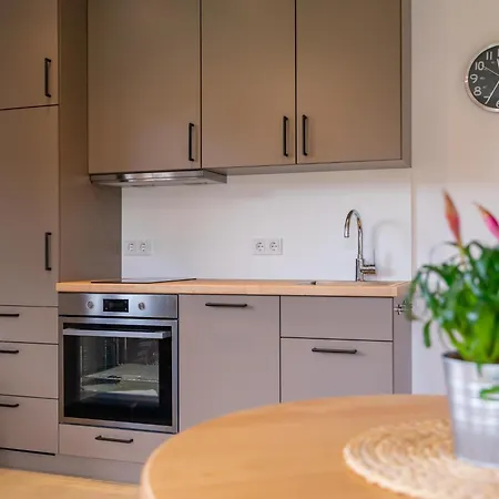 Apartament Sion 1 Maria Alm am Steinernen Meer